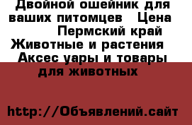 Двойной ошейник для ваших питомцев › Цена ­ 300 - Пермский край Животные и растения » Аксесcуары и товары для животных   